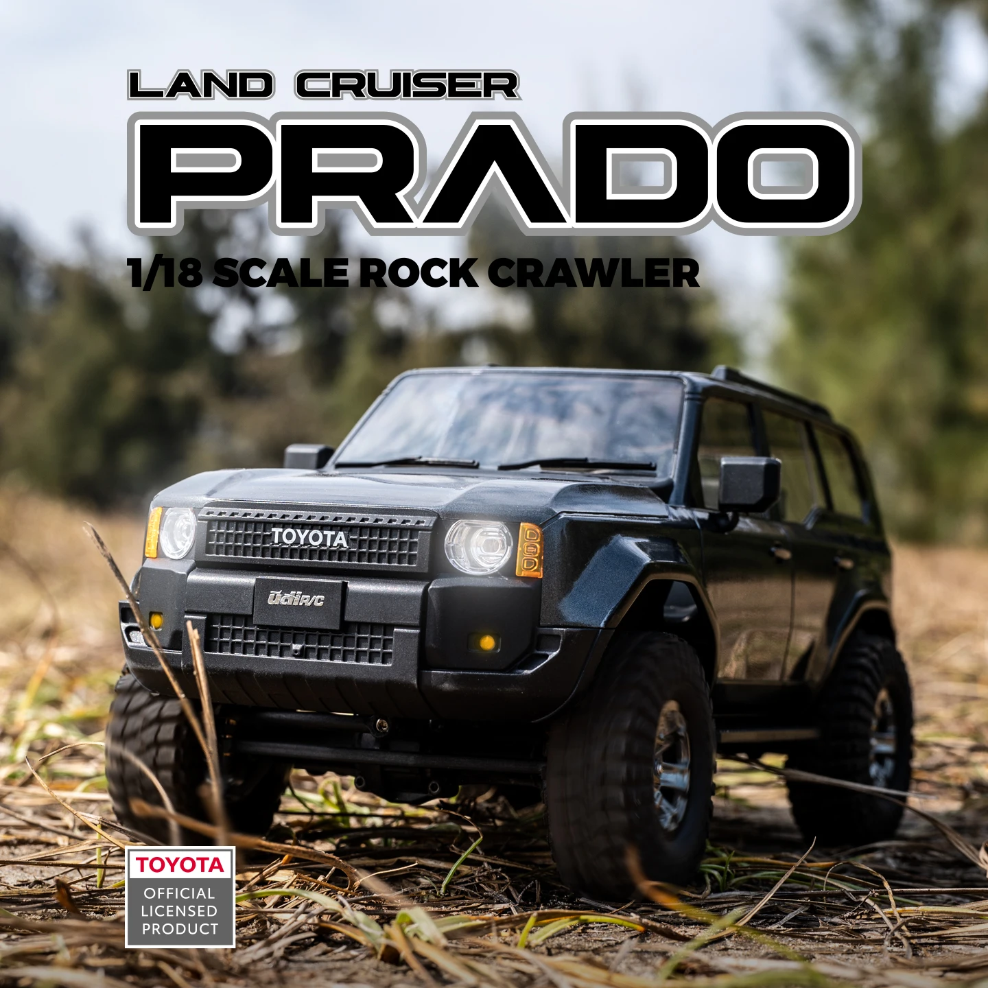 UDIRC 1/18 1/24 Caminhonete El - Rc Hobby Grade Truck avaliação e preço
